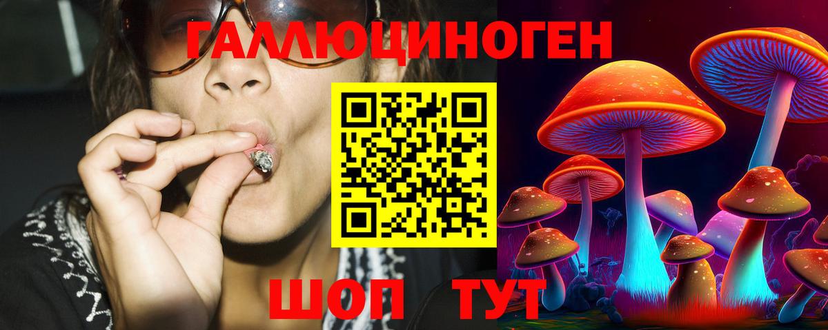 Алексеевка  Псилоцибиновые грибы ЛСД  Вход с VPN 